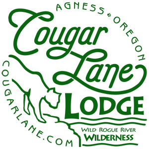 Cougar Lane Lodge & RV